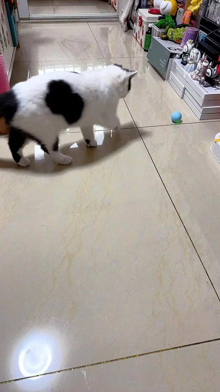 Cat Interactive Ball Smart Cat Toys for Pet Indoor Automatic Rolling Ball Electronic Interactive Cat Toy Cat Game Accessories - My Store