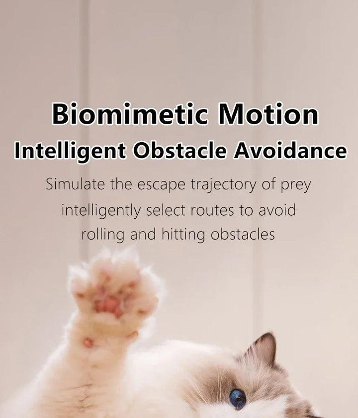 Cat Interactive Ball Smart Cat Toys for Pet Indoor Automatic Rolling Ball Electronic Interactive Cat Toy Cat Game Accessories - My Store