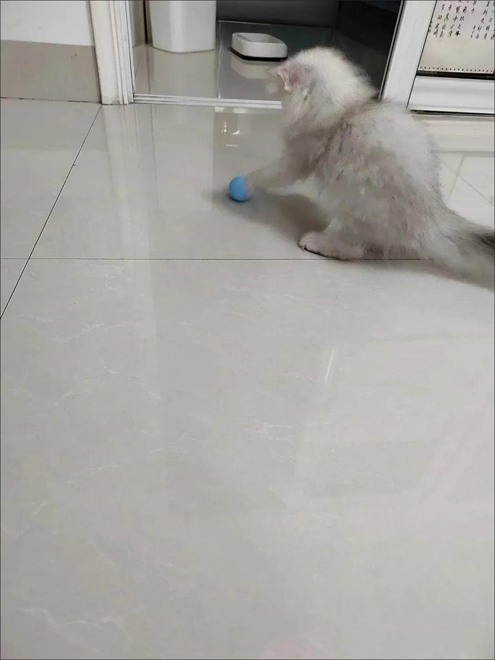 Cat Interactive Ball Smart Cat Toys for Pet Indoor Automatic Rolling Ball Electronic Interactive Cat Toy Cat Game Accessories - My Store