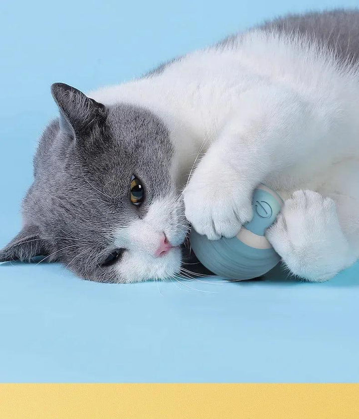 Cat Interactive Ball Smart Cat Toys for Pet Indoor Automatic Rolling Ball Electronic Interactive Cat Toy Cat Game Accessories - My Store