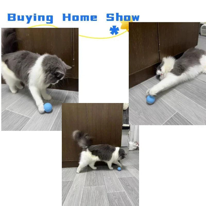 Cat Interactive Ball Smart Cat Toys for Pet Indoor Automatic Rolling Ball Electronic Interactive Cat Toy Cat Game Accessories - My Store