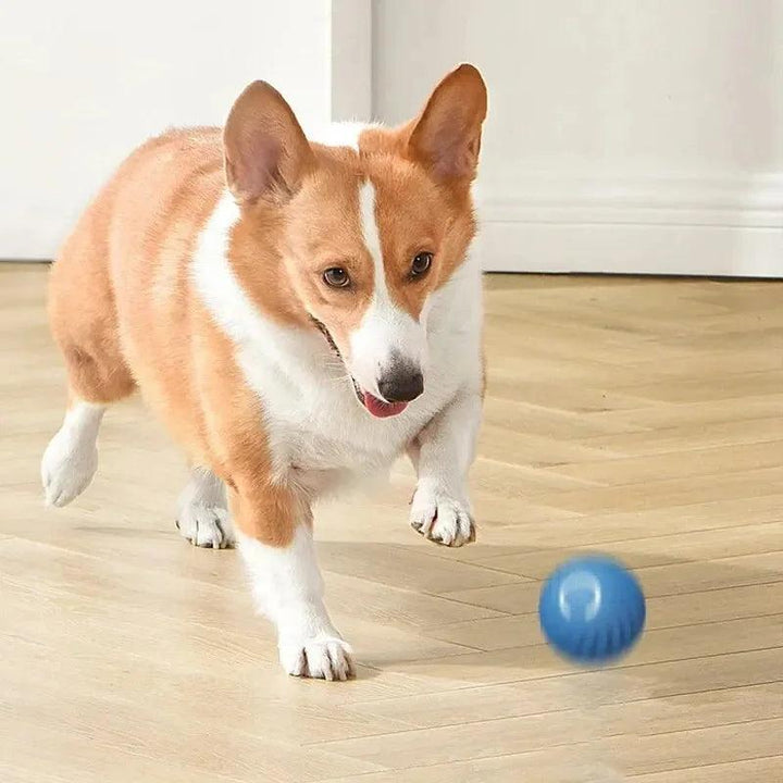 Smart Dog Toy Ball Electronic Interactive Pet Toy Moving Ball USB Automatic Moving Bouncing for Puppy Birthday Gift Cat Products - My Store