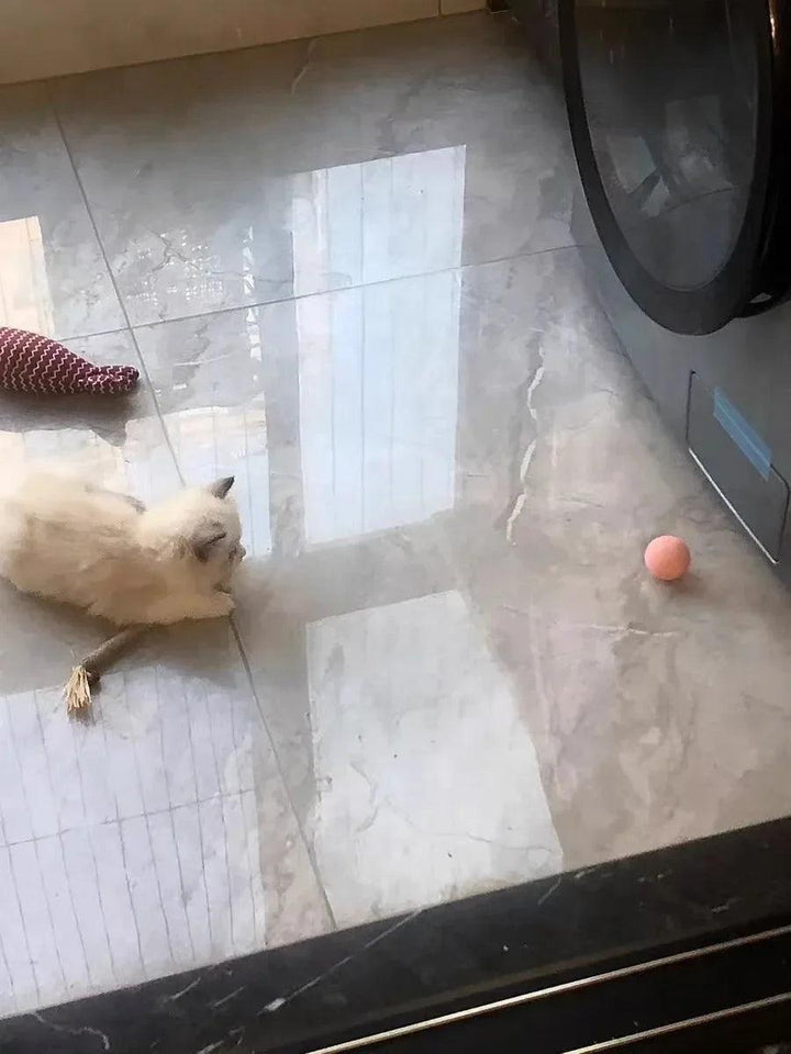 Cat Interactive Ball Smart Cat Toys for Pet Indoor Automatic Rolling Ball Electronic Interactive Cat Toy Cat Game Accessories - My Store