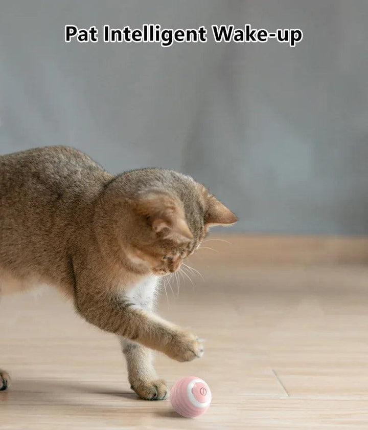 Cat Interactive Ball Smart Cat Toys for Pet Indoor Automatic Rolling Ball Electronic Interactive Cat Toy Cat Game Accessories - My Store