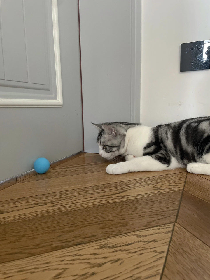 Cat Interactive Ball Smart Cat Toys for Pet Indoor Automatic Rolling Ball Electronic Interactive Cat Toy Cat Game Accessories - My Store