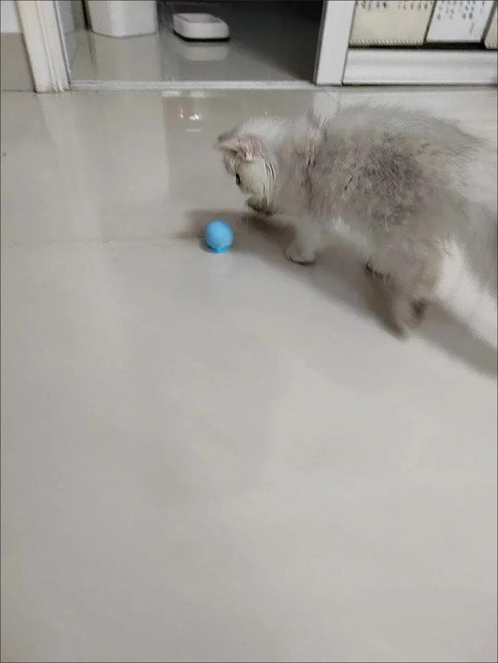 Cat Interactive Ball Smart Cat Toys for Pet Indoor Automatic Rolling Ball Electronic Interactive Cat Toy Cat Game Accessories - My Store