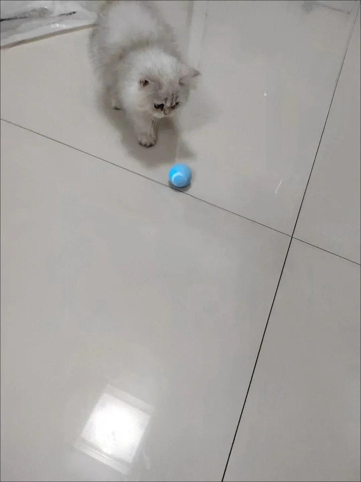 Cat Interactive Ball Smart Cat Toys for Pet Indoor Automatic Rolling Ball Electronic Interactive Cat Toy Cat Game Accessories - My Store
