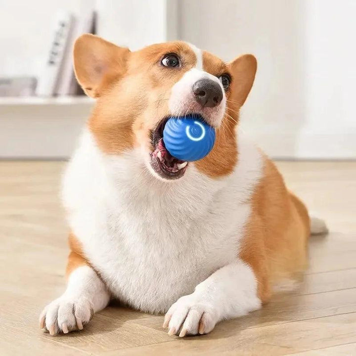 Smart Dog Toy Ball Electronic Interactive Pet Toy Moving Ball USB Automatic Moving Bouncing for Puppy Birthday Gift Cat Products - My Store